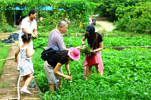 深圳觀瀾農(nóng)家樂野炊燒烤體驗田園生活