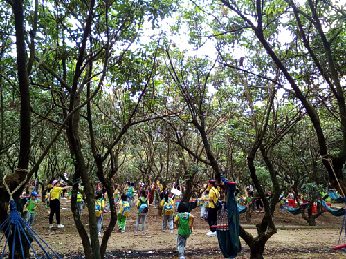 深圳農(nóng)家樂九龍山生態(tài)園迎來陽升幼兒園大班親子游畢業(yè)典禮之旅