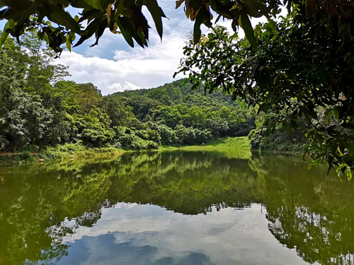 居眾設(shè)計(jì)院助理部深圳九龍山生態(tài)園團(tuán)建活動(dòng)