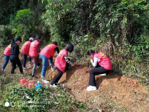 我與九龍生態(tài)園有個(gè)春天的約會(huì)——植樹